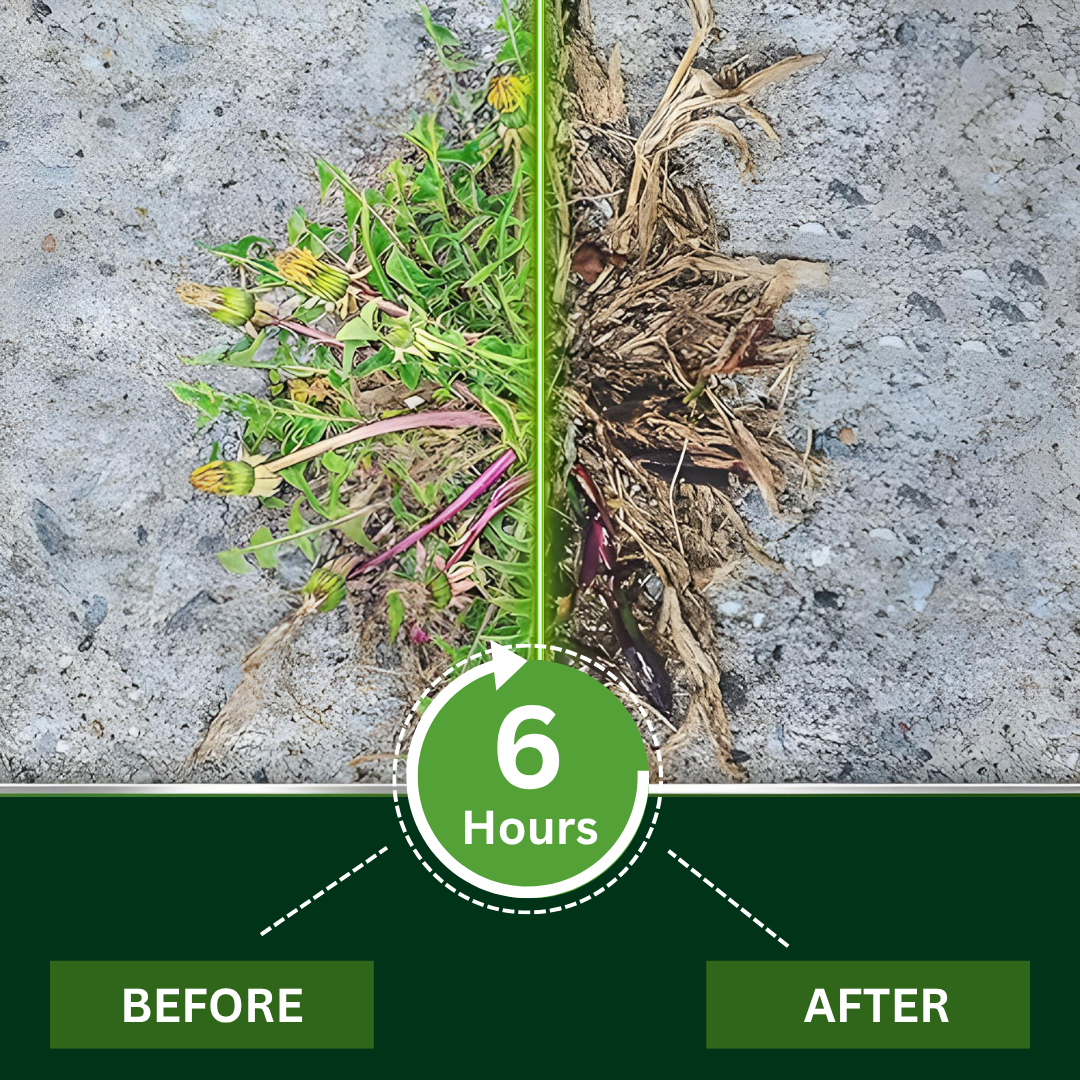 🔥LOWEST PRICE - 50% OFF🌿AEXZR® 2 in 1 Max Power Herbicide